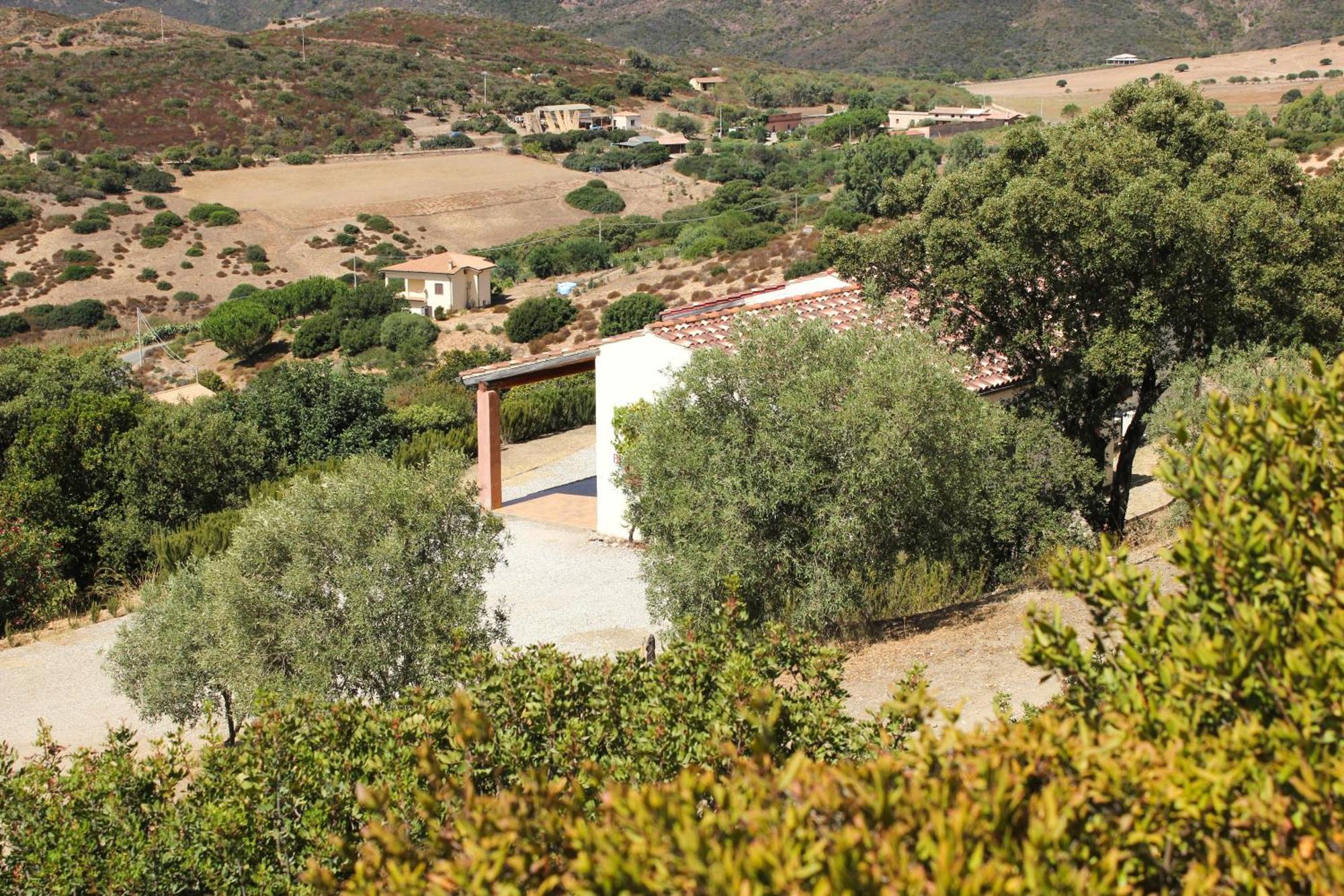 Fighezia Villa Fluminimaggiore Dış mekan fotoğraf